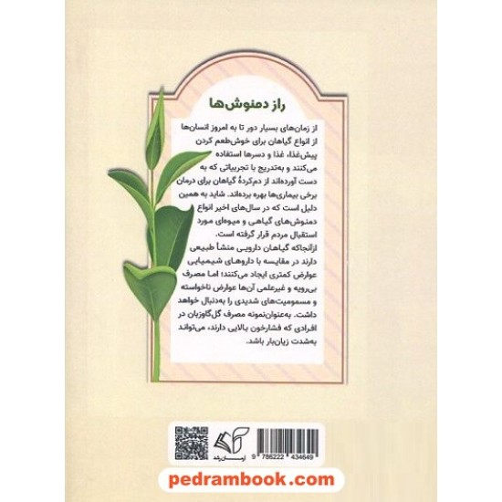 خرید کتاب راز دمنوش‌ها (یک فنجان سلامتی) / فرانک قربانی / آرمان رشد کد کالا در سایت کتاب‌فروشی کتابسرای پدرام: 11605