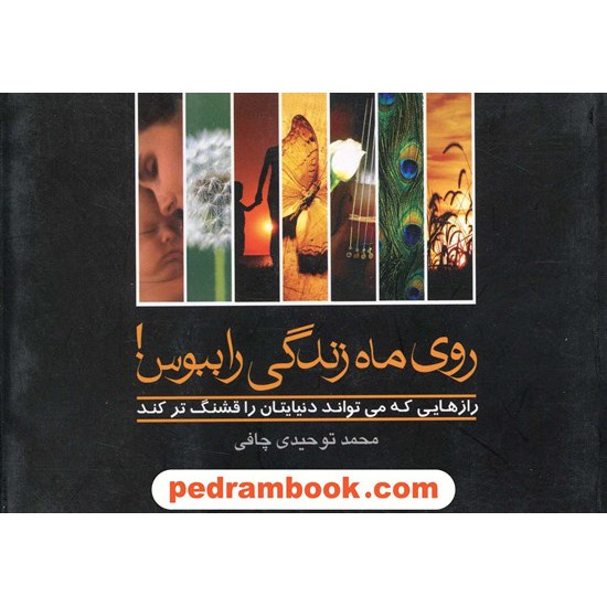خرید کتاب روی ماه زندگی را ببوس! / محمد توحیدی چافی / صدای معاصر کد کتاب در سایت کتاب‌فروشی کتابسرای پدرام: 11795